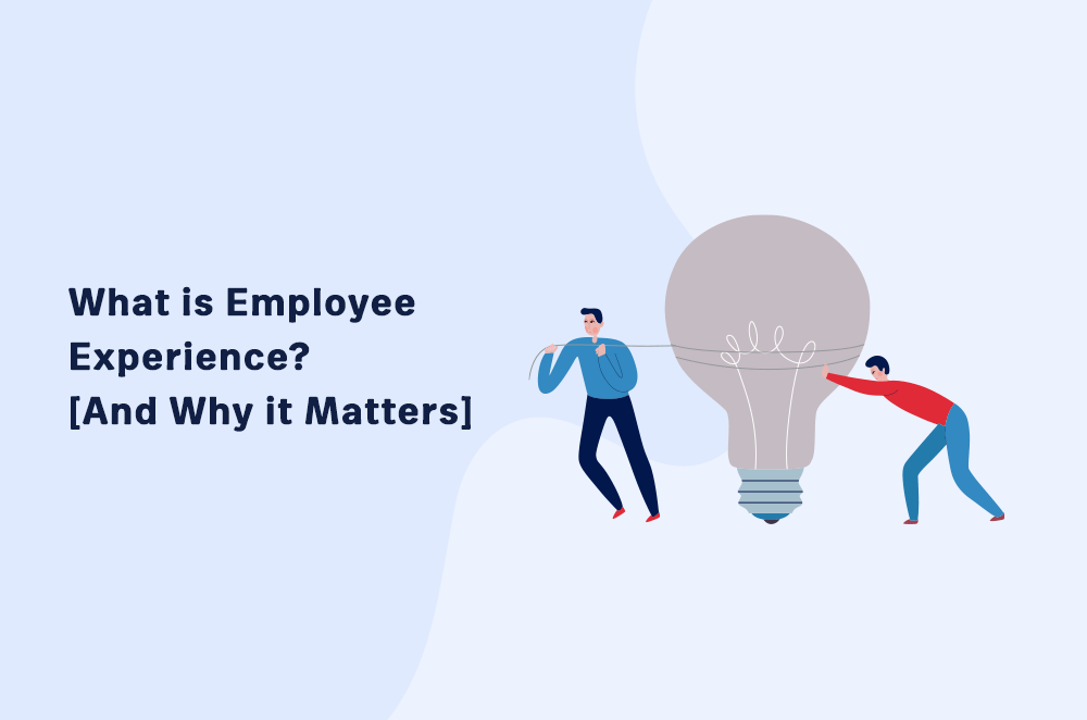 What is Employee Experience?