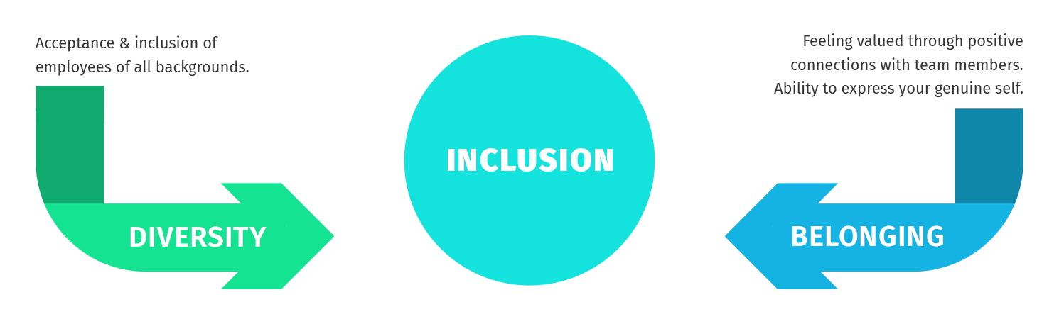 What Is Diversity, Inclusion, And Belonging? - HR University