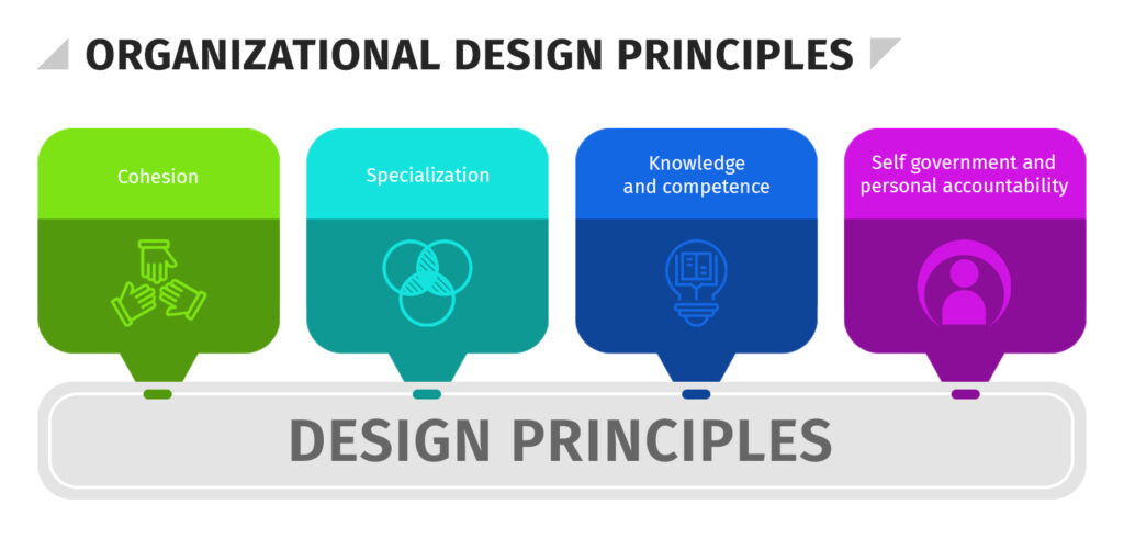 Organizational Design Principles