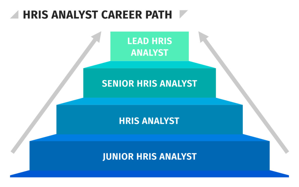 HRIS Analyst Career Path