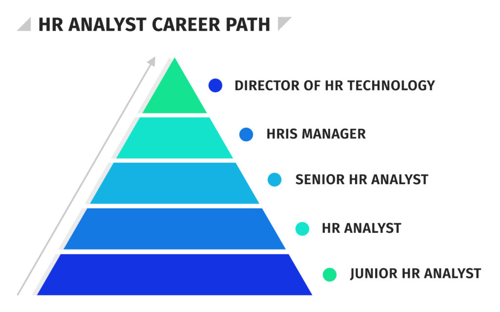 HR Analyst Career Path