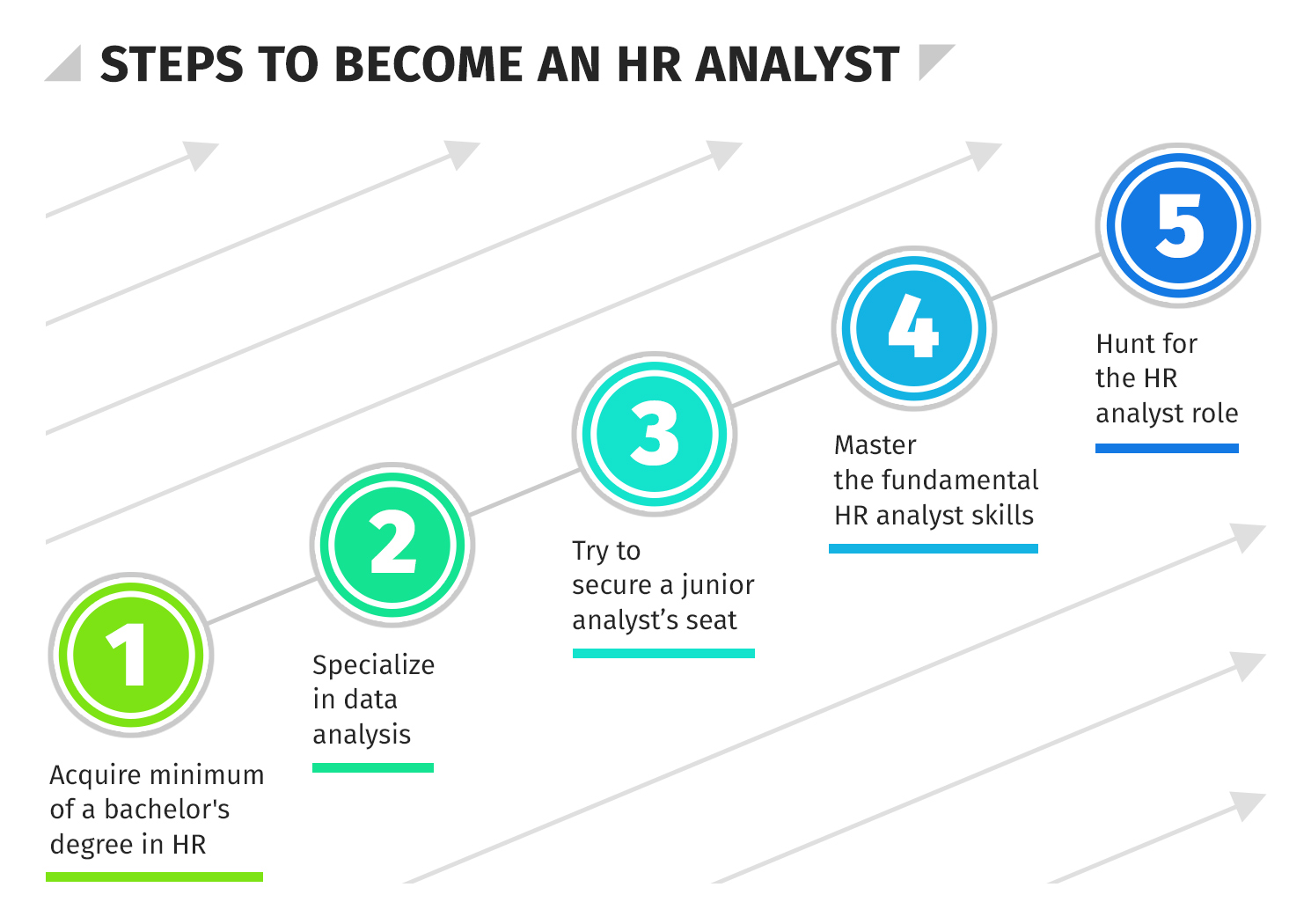 What is the HR Analyst Career Path? - HR University