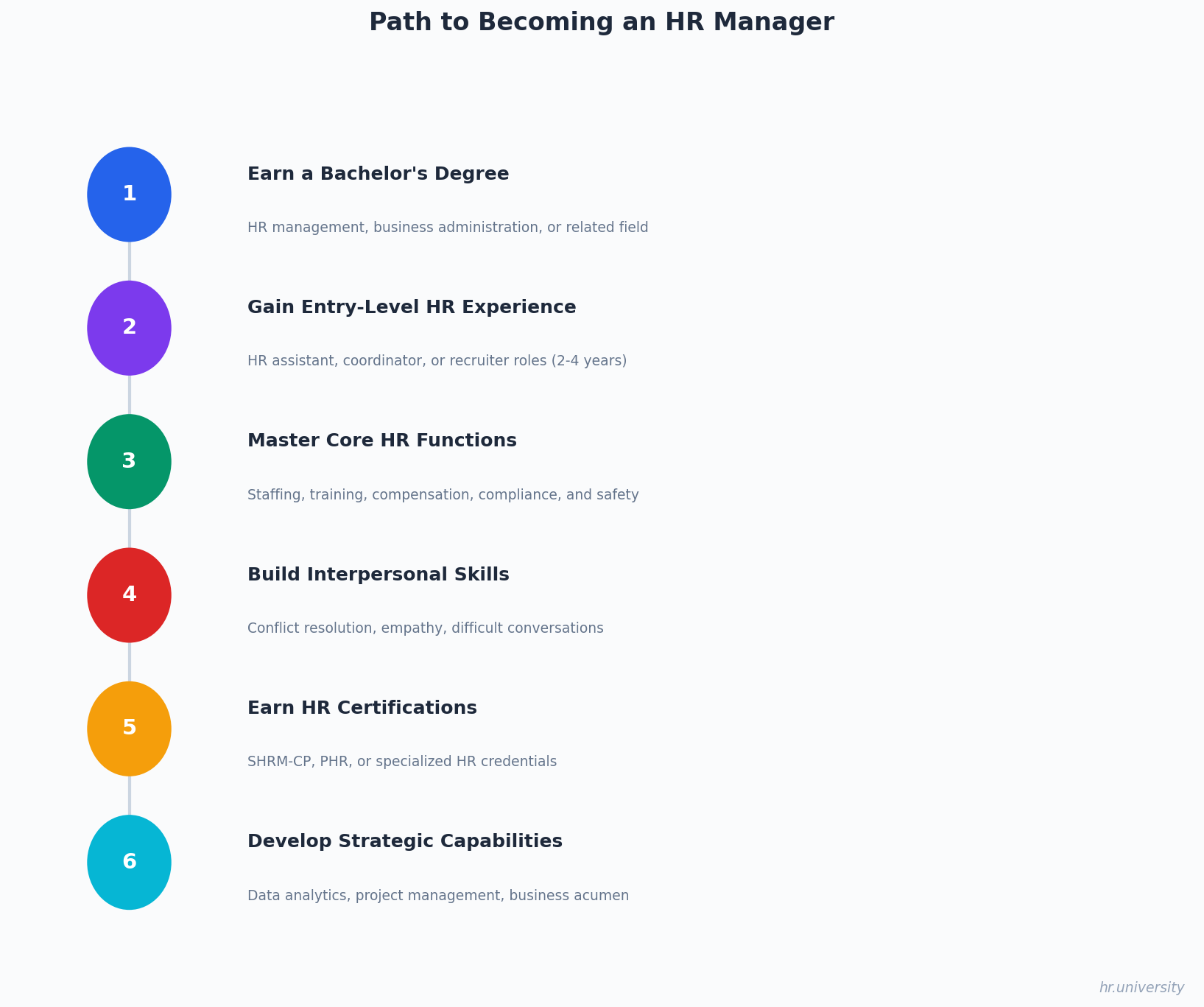 Path to Becoming an HR Manager - 6-step timeline from earning a degree to developing strategic capabilities